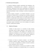 Estudio de mercado. Descripción general del programa