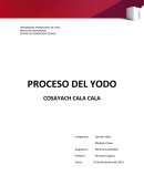 PROCESO DEL YODO