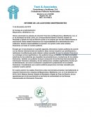 INFORME DE LOS AUDITORES INDEPENDIENTES.