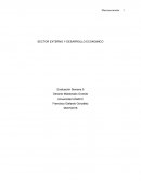 SECTOR EXTERNO Y DESARROLLO ECONOMICO