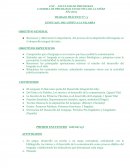 TRABAJO PRÁCTICO N°: 3 LENGUAJE: DEL GESTO A LA PALABRA