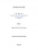 Tarea: Identificar tipos de Liderazgo