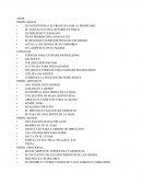 Perfil Evolutivo 2 a 5 años.