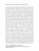 Ensayo final: derechos humanos, sociales, y otros
