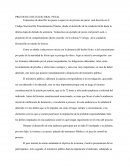 Protocolo de juicio oral penal