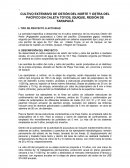 CULTIVO EXTENSIVO DE OSTIÓN DEL NORTE Y OSTRA DEL PACÍFICO EN CALETA TOYOS, IQUIQUE, REGIÓN DE TARAPACÁ