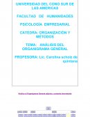ANÁLISIS DEL ORGANIGRAMA GENERAL