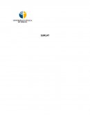 Estrategia de empresa de Surlat S.A.