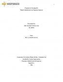 Programa Administración De Empresas.