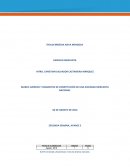 ORDENAMIENTOS LEGALES DE NUESTRO PAÍS QUE REGLAMENTAN A LAS SOCIEDADES MERCANTILES.