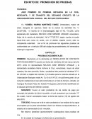 ESCRITO DE PROMOCION DE PRUEBAS.