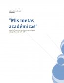 MIS METAS ACADEMICAS.