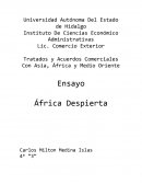 Tratados y Acuerdos Comerciales Con Asia, África y Medio Oriente