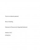 Vías de circulación peatonal.