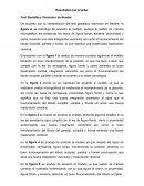 Test Gestáltico Visomotor de Bender.