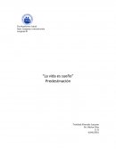 La vida es sueño Predestinación