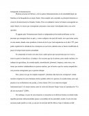 Inmigrando la humanización