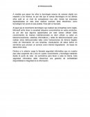 Seguridad informática. Respaldo de Información