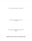 PERSPECTIVA LEGAL Y SOCIAL DEL CASO POLÉMICA VIDEO