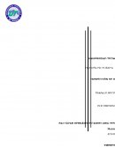 La compañía Materiales y Equipo Petrolero S.A de C.V (MATYEP)