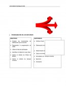 PROGRAMACION DE LOS RECURSOS