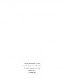 Sistema de Gestión de Calidad. Normativa de calidad y ambiente