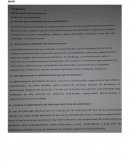 ¿Què es la motivaciòn en la administraciòn de Recursos Humanos?