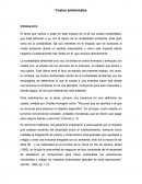 El tema que vamos a tratar en este ensayo es el de los costos ambientales, que está adherido a su vez al tópico de la contabilidad ambiental