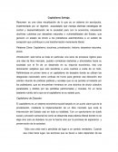 Capitalismo salvaje naomi klein