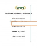 Proyecto Final. Mercadotecnia