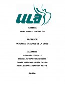 PRINCIPIOS ECONOMICOS. LA ECONOMIA NACIONAL.