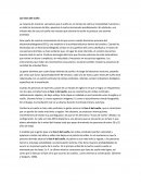 LAS FASES DEL SUEÑO.