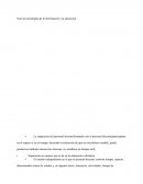 Nuevas tecnologías de la información y la educación.