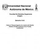 Visita al Tribunal Superior de Justicia del Distrito Federal (TSJDF) Audiencia de la Prueba Confesional