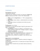 Introduccion a la cirugia Resumen de Schwartz
