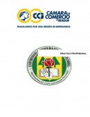 ASESORÍA EMPRESARIAL PROGRAMA DE EMPRENDIMIENTO REGIÓN EMPRESARIAL.