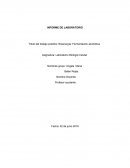 Título del trabajo práctico: Bioenergía: Fermentación alcohólica