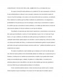 CONCEPCION Y PUNTO DE VISTA DEL AMBIENTE EN LA CIUDAD DE CALI