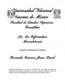 Opinion del libro Compita Sabiamente.