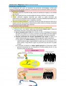 En la introducción del curso, se estudiarán las precisiones terminológicas previas para entender el desarrollo temático posterior y la distinción entre los derechos reales y personales.