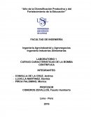 Curvas caracteristicas de la bomba centrifuga