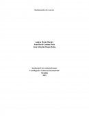 Optimizacion de recursos.