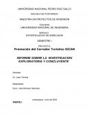 Informe importacion.