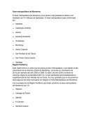 Área Metropolitana de Monterrey