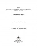 PROCESO DE PRODUCCION PIO PIO Y MAS PIO