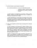 ¿en qué consiste la cultura y porque es importante?