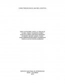 Caracterizacion de una red logistica