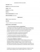 Inclusiones Citoplasmaticas.