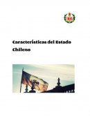 El Estado Chileno.