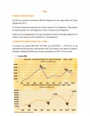 Productos para exportar - MIEL